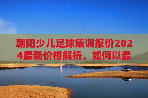 朝阳少儿足球集训报价2024最新价格解析，如何以最优性价比选择专业青训营
