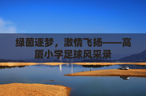 绿茵逐梦，激情飞扬——高厦小学足球风采录