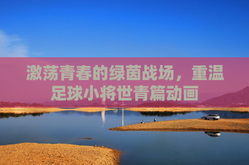 激荡青春的绿茵战场,重温足球小将世青篇动画