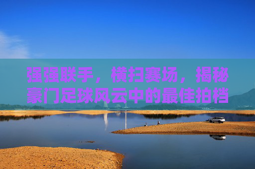 强强联手,横扫赛场,揭秘豪门足球风云中的最佳拍档搭配艺术