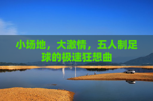 小场地，大激情，五人制足球的极速狂想曲