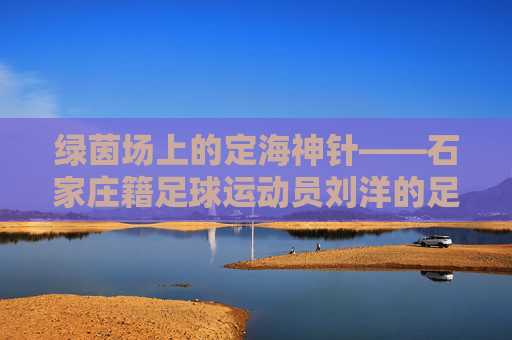 绿茵场上的定海神针——石家庄籍足球运动员刘洋的足球之路