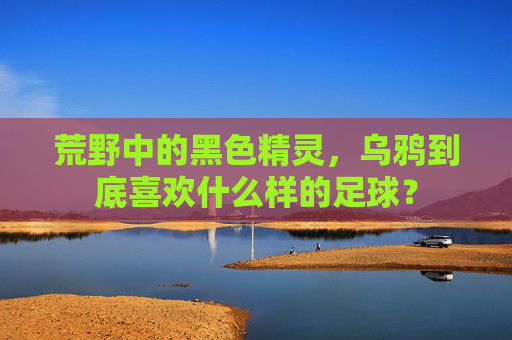 荒野中的黑色精灵，乌鸦到底喜欢什么样的足球？