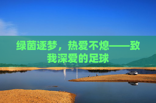 绿茵逐梦，热爱不熄——致我深爱的足球