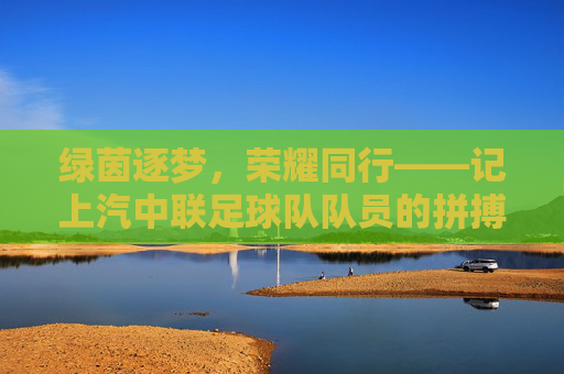 绿茵逐梦,荣耀同行——记上汽中联足球队队员的拼搏风采