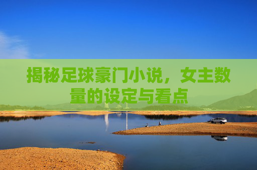揭秘足球豪门小说，女主数量的设定与看点