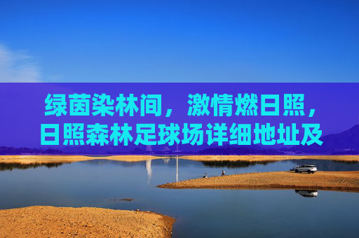 绿茵染林间，激情燃日照，日照森林足球场详细地址及周边攻略