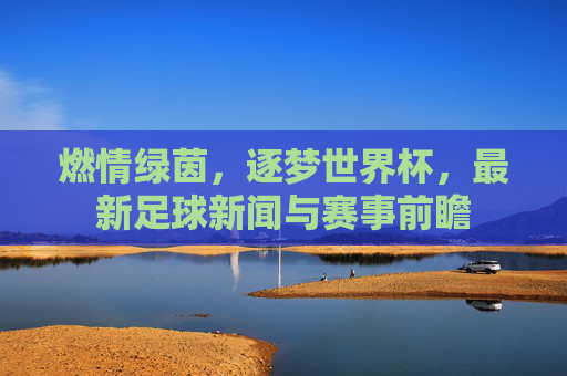 燃情绿茵，逐梦世界杯，最新足球新闻与赛事前瞻