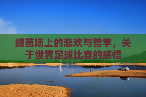 绿茵场上的悲欢与哲学，关于世界足球比赛的感悟
