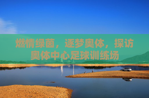 燃情绿茵,逐梦奥体,探访奥体中心足球训练场