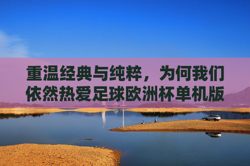 重温经典与纯粹，为何我们依然热爱足球欧洲杯单机版
