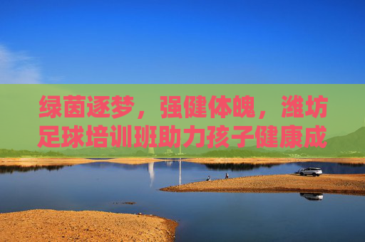 绿茵逐梦,强健体魄,潍坊足球培训班助力孩子健康成长