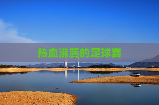 热血沸腾的足球赛