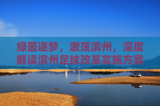 绿茵逐梦，激荡滨州，深度解读滨州足球改革实施方案与未来展望