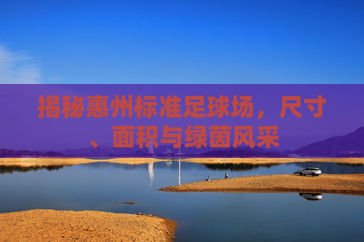 揭秘惠州标准足球场，尺寸、面积与绿茵风采