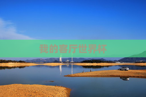 我的客厅世界杯