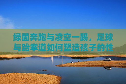 绿茵奔跑与凌空一踢，足球与跆拳道如何塑造孩子的性格
