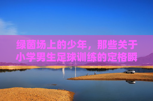 绿茵场上的少年,那些关于小学男生足球训练的定格瞬间