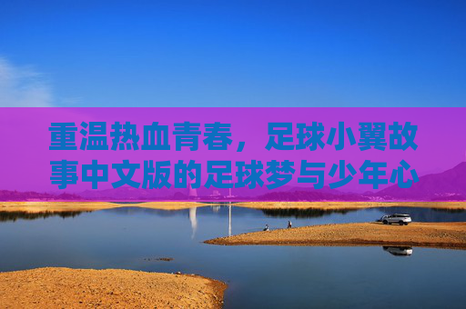 重温热血青春，足球小翼故事中文版的足球梦与少年心