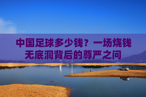 中国足球多少钱?一场烧钱无底洞背后的尊严之问