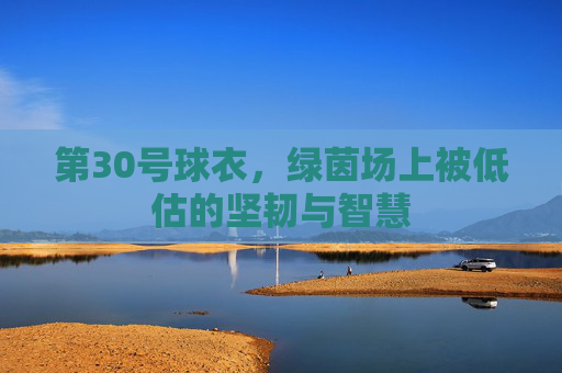 第30号球衣，绿茵场上被低估的坚韧与智慧