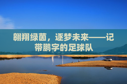 翱翔绿茵,逐梦未来——记带鹏字的足球队