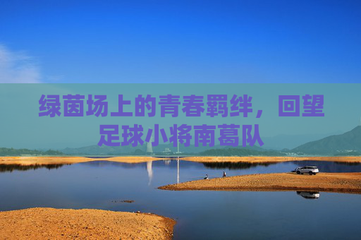 绿茵场上的青春羁绊,回望足球小将南葛队
