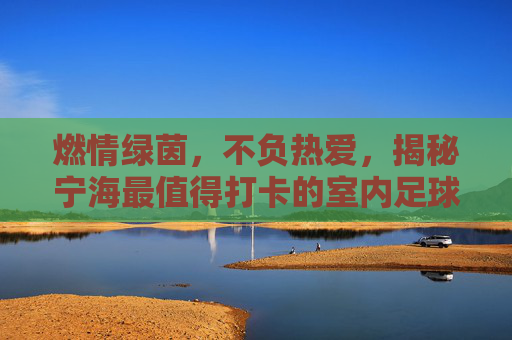 燃情绿茵，不负热爱，揭秘宁海最值得打卡的室内足球场