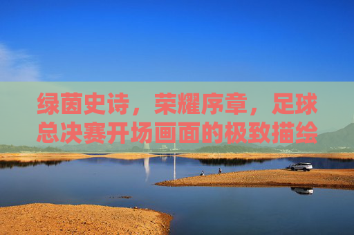 绿茵史诗，荣耀序章，足球总决赛开场画面的极致描绘