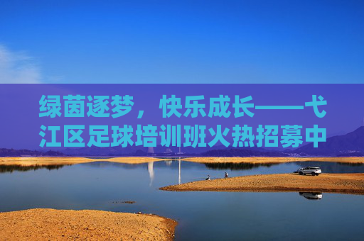 绿茵逐梦，快乐成长——弋江区足球培训班火热招募中！