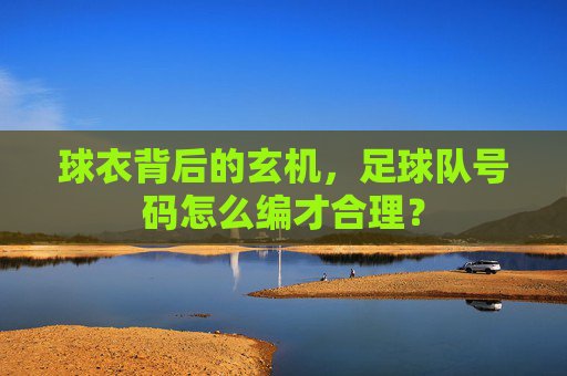 球衣背后的玄机，足球队号码怎么编才合理？