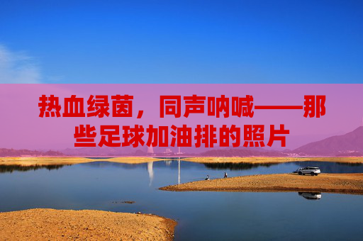 热血绿茵，同声呐喊——那些足球加油排的照片