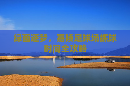 绿茵逐梦，嘉陵足球场练球时间全攻略