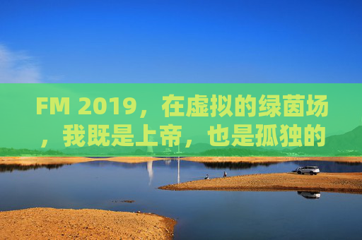FM 2019，在虚拟的绿茵场，我既是上帝，也是孤独的经理人