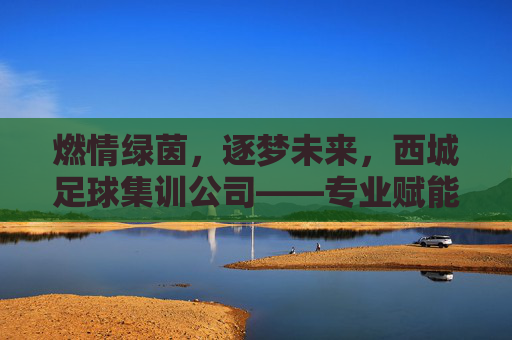 燃情绿茵，逐梦未来，西城足球集训公司——专业赋能，铸就足坛新星