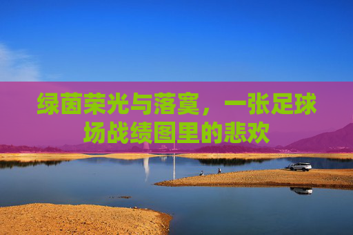 绿茵荣光与落寞,一张足球场战绩图里的悲欢