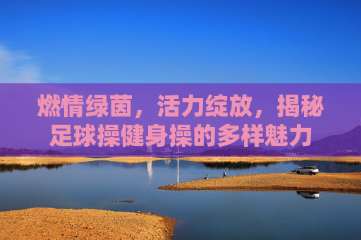 燃情绿茵，活力绽放，揭秘足球操健身操的多样魅力