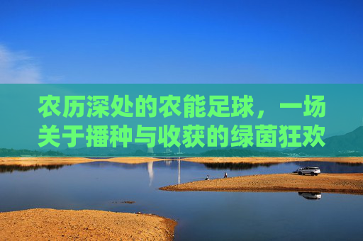 农历深处的农能足球，一场关于播种与收获的绿茵狂欢