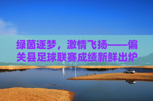 绿茵逐梦,激情飞扬——偏关县足球联赛成绩新鲜出炉