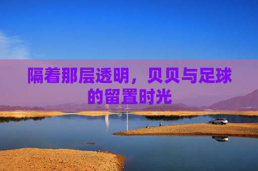 隔着那层透明,贝贝与足球的留置时光