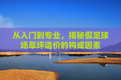 从入门到专业,揭秘假足球场草坪造价的构成因素
