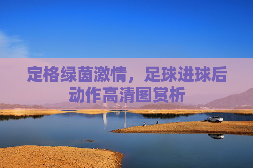 定格绿茵激情,足球进球后动作高清图赏析