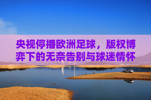 央视停播欧洲足球,版权博弈下的无奈告别与球迷情怀的失落
