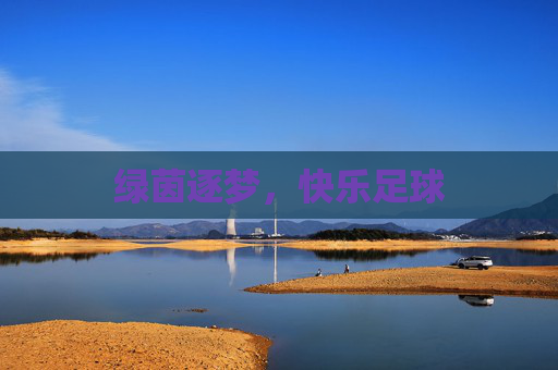 绿茵逐梦,快乐足球