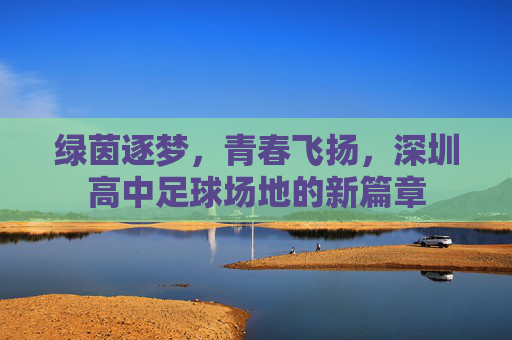绿茵逐梦,青春飞扬,深圳高中足球场地的新篇章