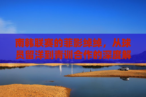 南韩联赛的菲影绰绰,从球员留洋到青训合作的深度解析