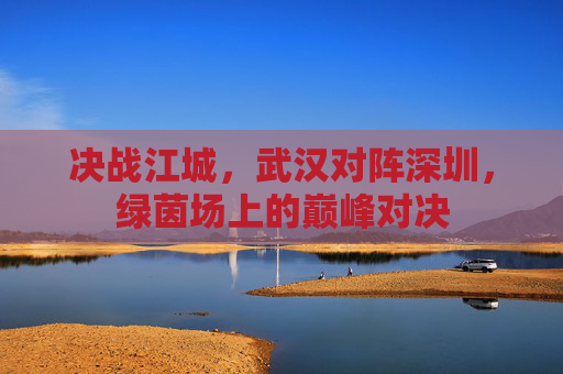 决战江城,武汉对阵深圳,绿茵场上的巅峰对决