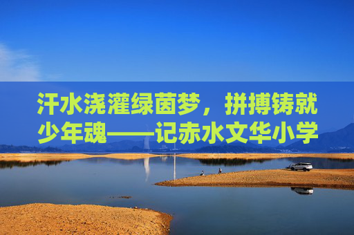 汗水浇灌绿茵梦,拼搏铸就少年魂——记赤水文华小学足球队