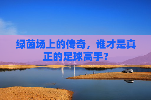 绿茵场上的传奇,谁才是真正的足球高手?