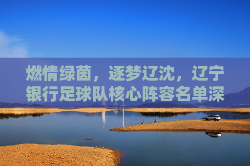 燃情绿茵，逐梦辽沈，辽宁银行足球队核心阵容名单深度解析
